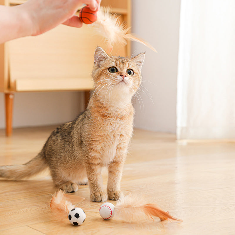 🔥2025 HOT SALE🐱 Boule rebondissante interactive pour chat avec plume