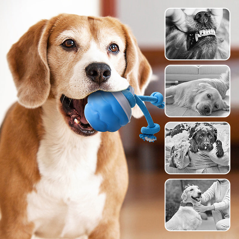 📢📢62 % de réduction !!!  💖🐾Balle Interactive Électronique Apaisante pour Animaux de Compagnie – Trois Modes, Évitement des Obstacles & Plus! 🐶💡