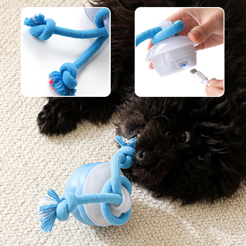 📢📢62 % de réduction !!!  💖🐾Balle Interactive Électronique Apaisante pour Animaux de Compagnie – Trois Modes, Évitement des Obstacles & Plus! 🐶💡