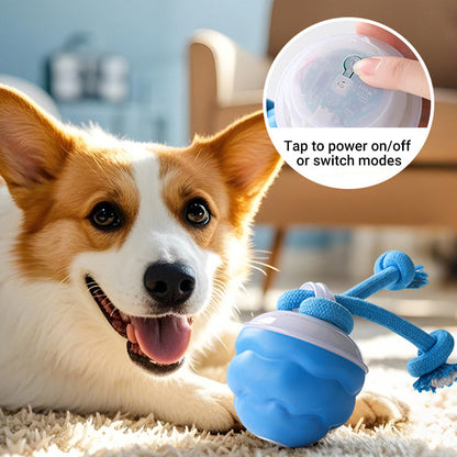 📢📢62 % de réduction !!!  💖🐾Balle Interactive Électronique Apaisante pour Animaux de Compagnie – Trois Modes, Évitement des Obstacles & Plus! 🐶💡