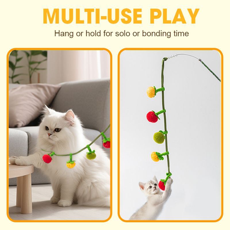 🐱 Plus de nuits tranquilles ! 💥Ficelle de jeu en forme de fruit pour fatiguer votre chat naturellement