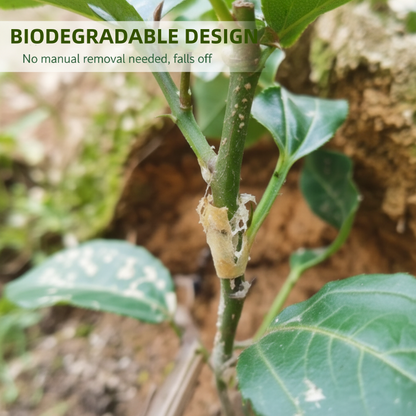 📢📢50% KORTING! 🌱✨ 50 stuks siliconen entingshulzen voor fruitbomen – Hoge slagingskans, biologisch afbreekbaar & zonder gereedschap!