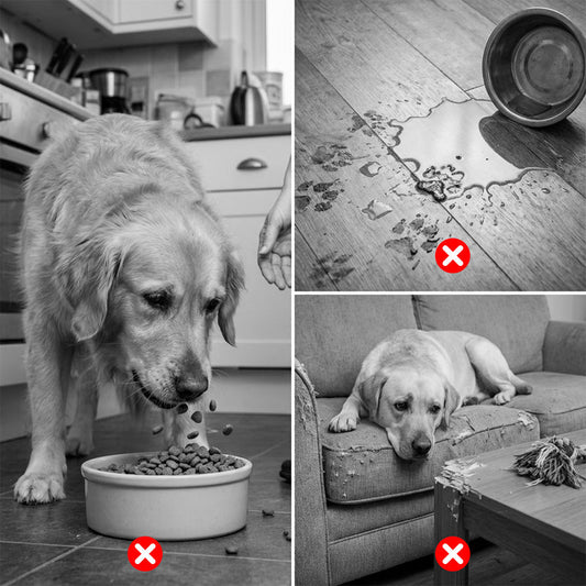 ⏳ Promotion limitée -50 % 🐶🦴 Bol Roll-N-Lick pour chien : le distributeur ultime de friandises liquides Bol anti-glouton pour chien avec balle rotative
