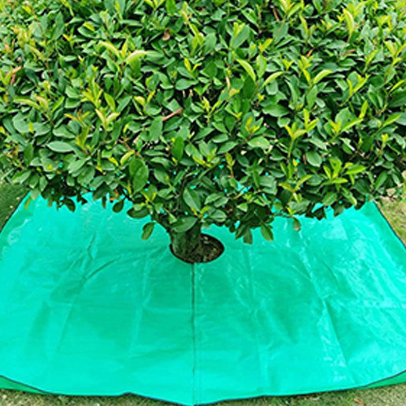 Bâche paysagère de 200 x 200 cm pour la taille avec trou de 30 cm