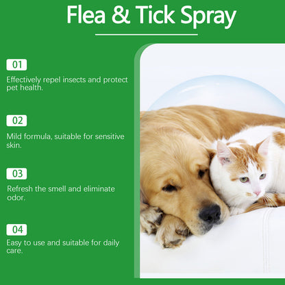 Spray naturel anti-puces et anti-tiques pour chiens et chats