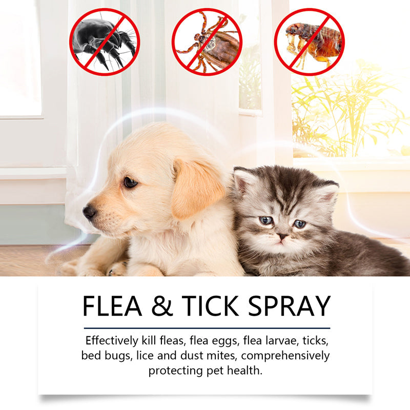 Spray naturel anti-puces et anti-tiques pour chiens et chats