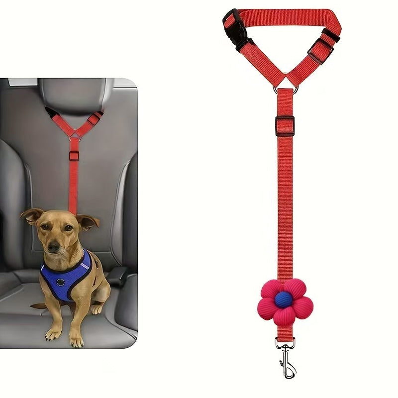 Ceinture de sécurité auto et laisse de promenade 2 en 1 pour chien