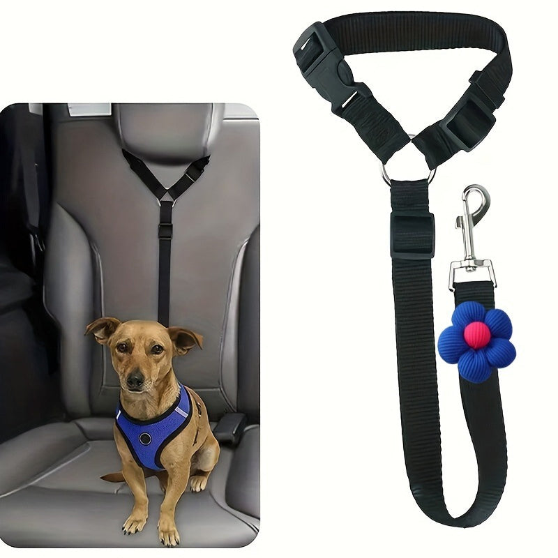 Ceinture de sécurité auto et laisse de promenade 2 en 1 pour chien