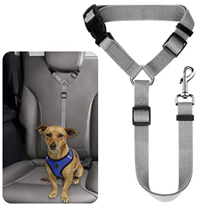 Ceinture de sécurité auto et laisse de promenade 2 en 1 pour chien